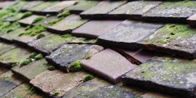 Torpoint roof repair costs